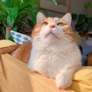 琪琪色原网站在线123
